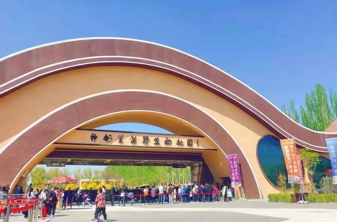 202205051651714501823843.jpg 1.jpg