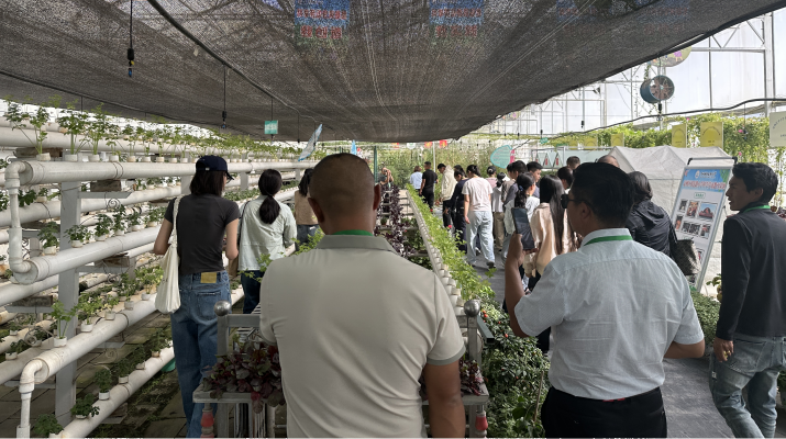 202509181758155239115579.png 圖片3.png