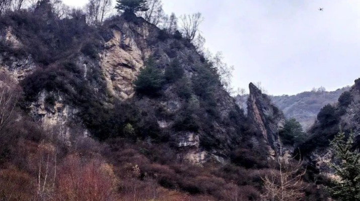 享游渭河源丨渭河源鳥鼠山驚現(xiàn)一只臥鳥