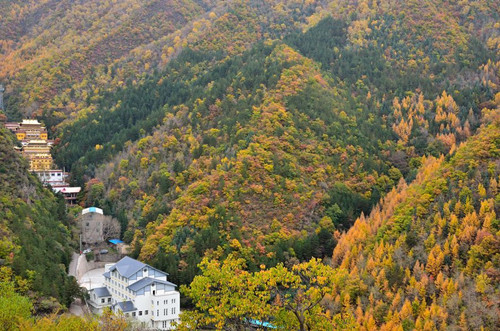 8_副本.jpg 8_副本.jpg